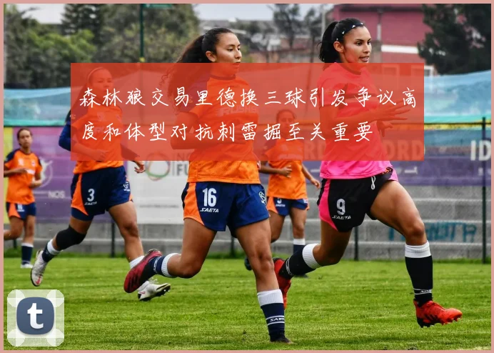 森林狼交易里德换三球引发争议高度和体型对抗刺雷掘至关重要