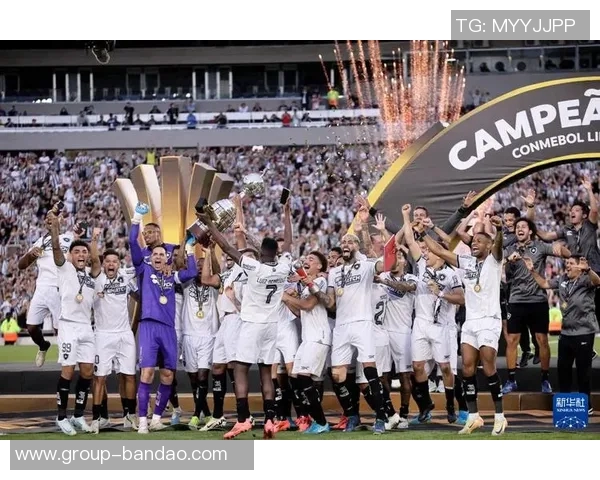 南美解放者杯决赛球队的巴西统治力近十年显著体现 南美解放者杯决赛球队的巴西统治力近十年显著体现